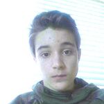kurtsylvally