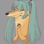 Countchunkula