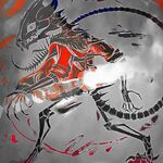 WolfDragonXD - instagram username