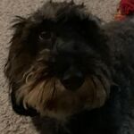 Chloe 