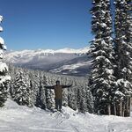 Matthew_587