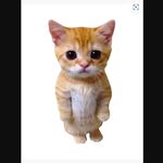QUINCY ANDREW VIELLE - instagram username