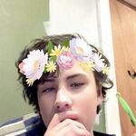 MelodyTheFolf