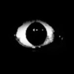 ÐºÐ¾ÑÑÑ - roblox username