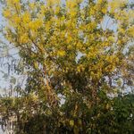 kalammm - instagram username