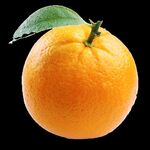 Joshua_Lamorr20