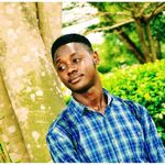 Boisky Kiazolu
