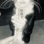 Rob - instagram username