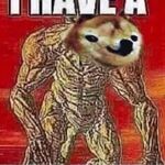 dwdwff