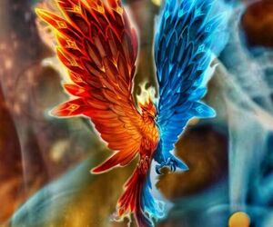 Phoenix