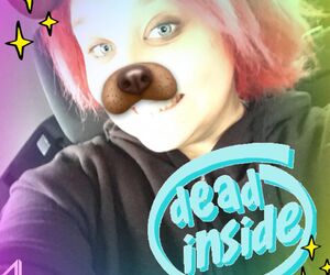 bearboo92