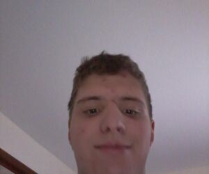 stephen strenk