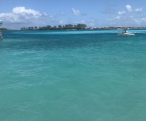 Reef