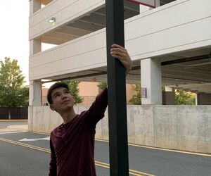 Alexfc