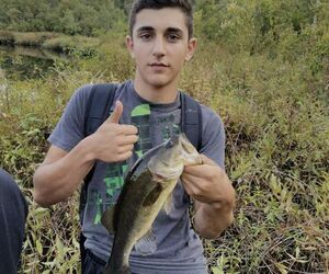 Matt johnson