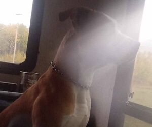 Profile Geoff