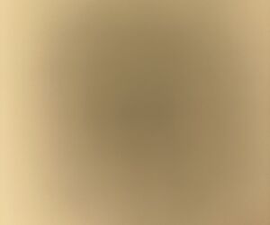Nzbdnd