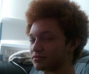 Gingyog