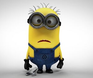 ravinu