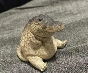 aandrew