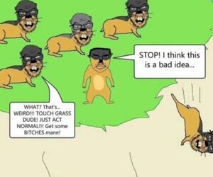 BethrÃ¦b