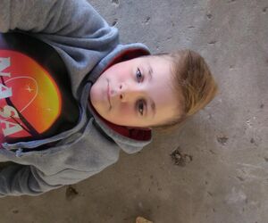 Gavin