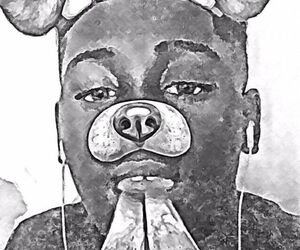 2x.realjosh