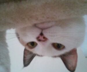 Lllllll