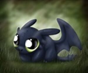 toothlesslover