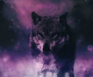 StarkWolf