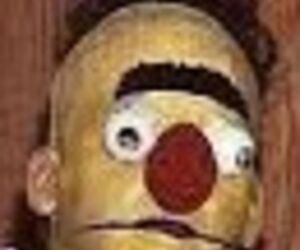 BertL