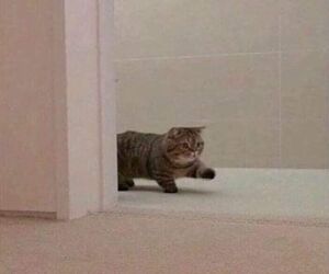 Carl