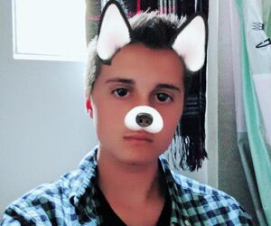 TheSilverScree