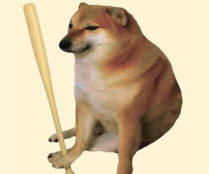 Durrr