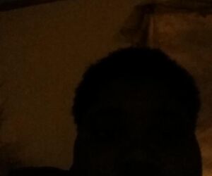 ThugTae23