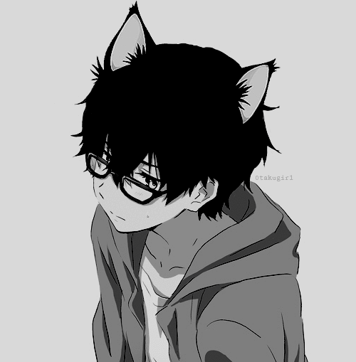 WildLilWolf