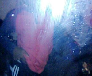 Saqqz