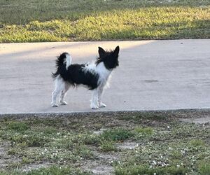Kadyn
