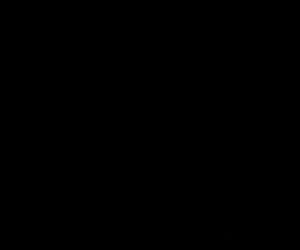 1266262
