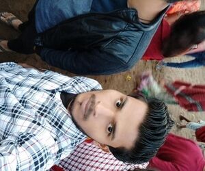 Raweins