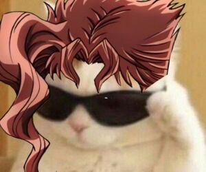 Meow_meow