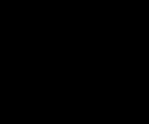 eleiran