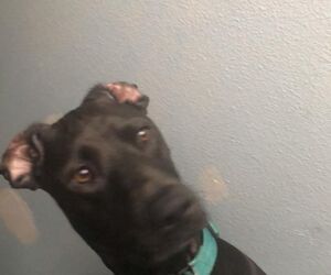 Ahhhhhh