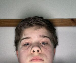 Harrybakke