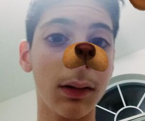 ARIAN