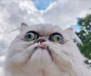 Profile Logged out