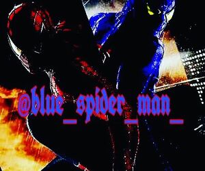 Blue spider ma