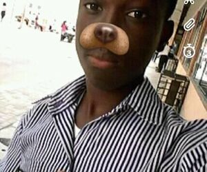 stephens_Nock