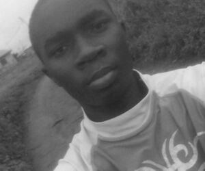 Genius jay