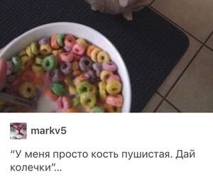 notafurry